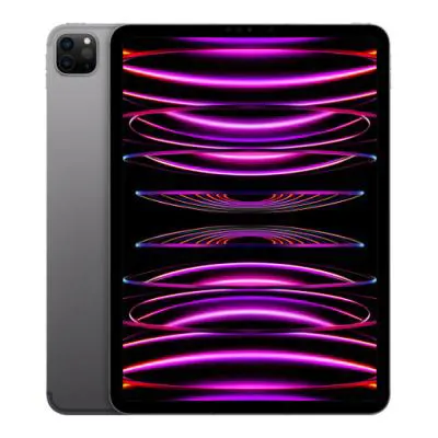 Apple iPad Pro 11 4th Gen (2022)