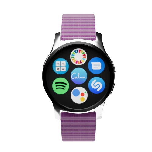 Smart watch